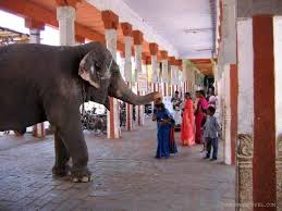 Event temple image
